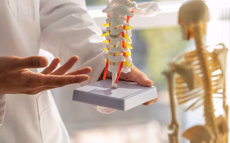 doctor-explaining-anatomy-front-view_23-2149870308 (1)