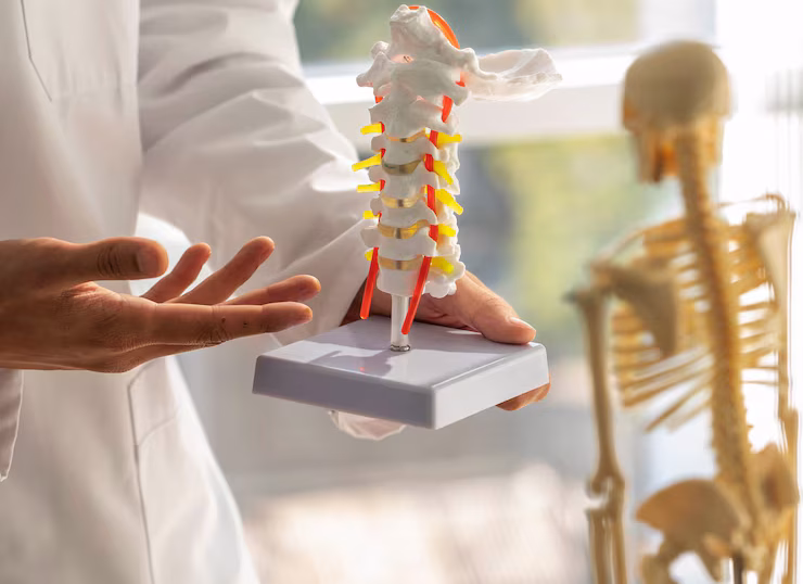 doctor-explaining-anatomy-front-view_23-2149870308 (1)